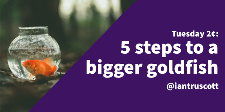 Tuesday 2¢: 5 steps to a bigger goldfish